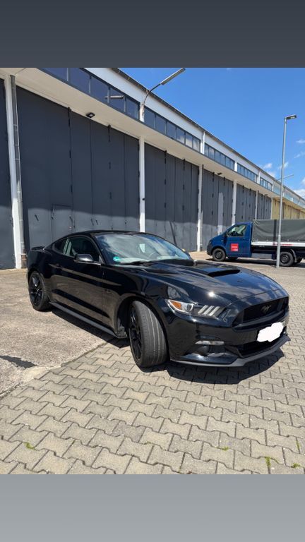 Mustang