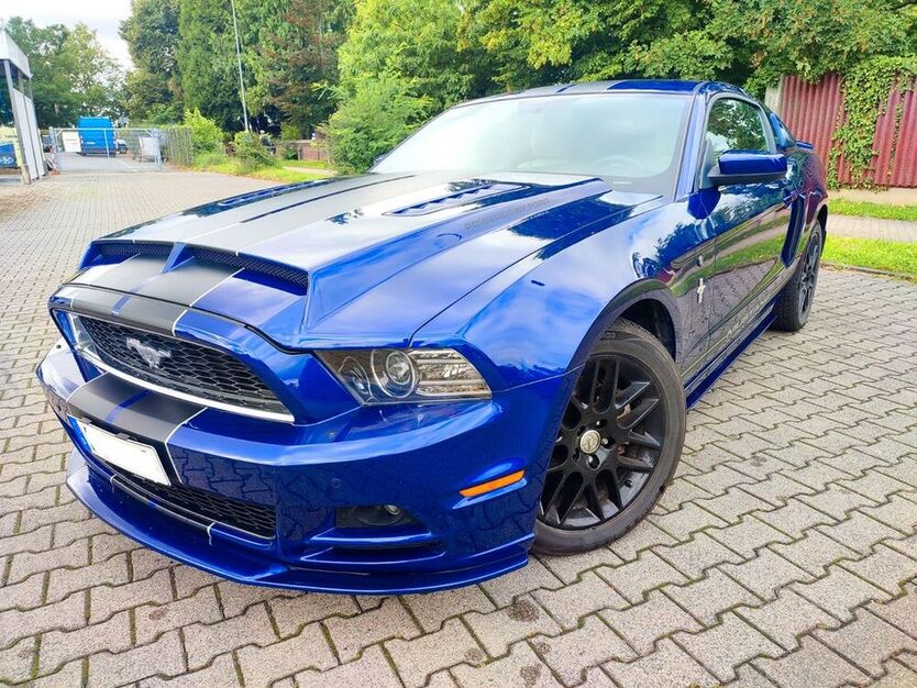 Mustang