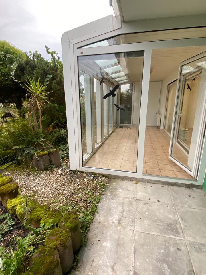 Helle frisch renovierte 2,5 ZKB Wohnung zu vermieten zimmer