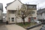 Dachgeschoßwohnung Boppard - 4 Zimmer, 98 m&sup2;, 570&euro; | Angebot:26166219