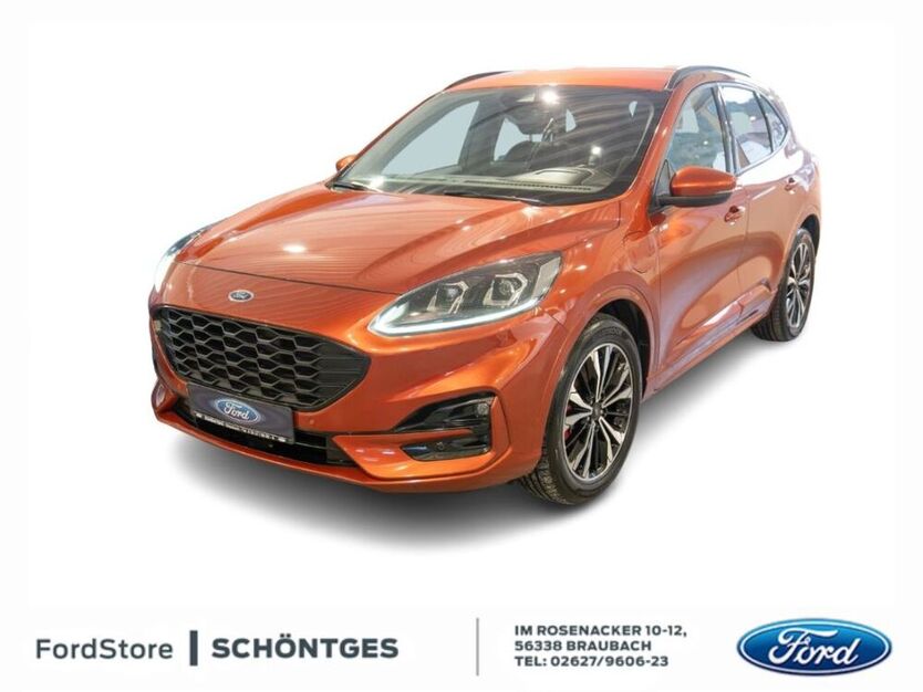 Kuga