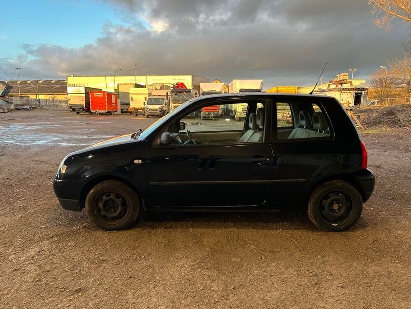 Lupo