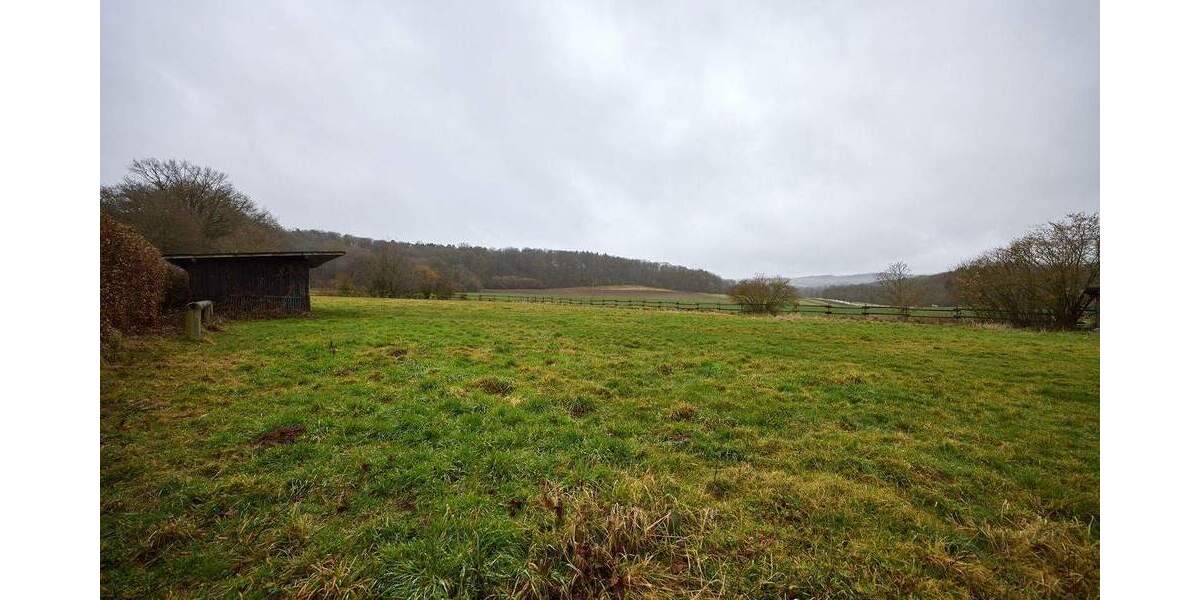 Gewerbeobjekt Wierschem - 1 Zimmer, 459.000&euro; | Angebot:25032981