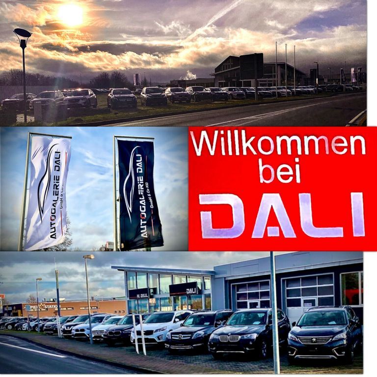 Peugeot 208 185.000 km 2.990 € Mayen 56727