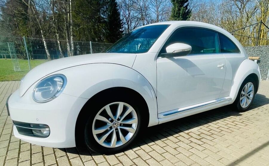 Beetle