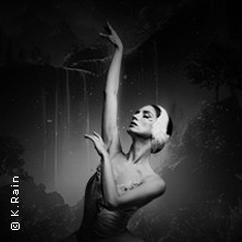 Grand Classic Ballet - Schwanensee - Jenseits der Bühne mit live Streichquartett 28.02.2027 Stadthalle Boppard