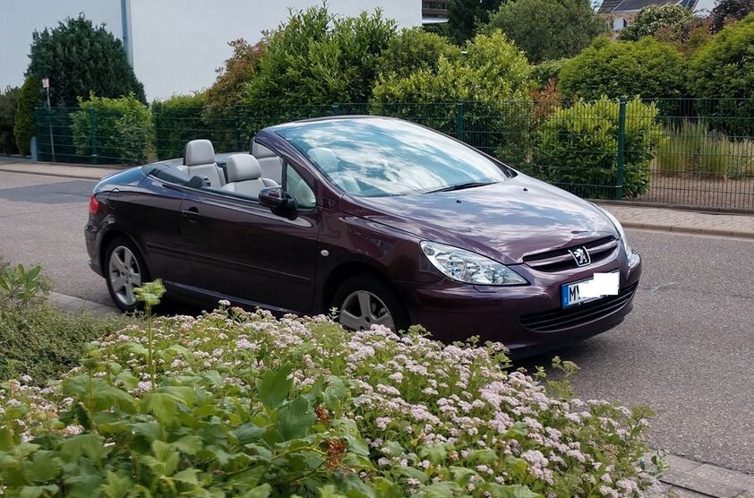 Peugeot 307 185.000 km 3.599 € Neuwied 56564
