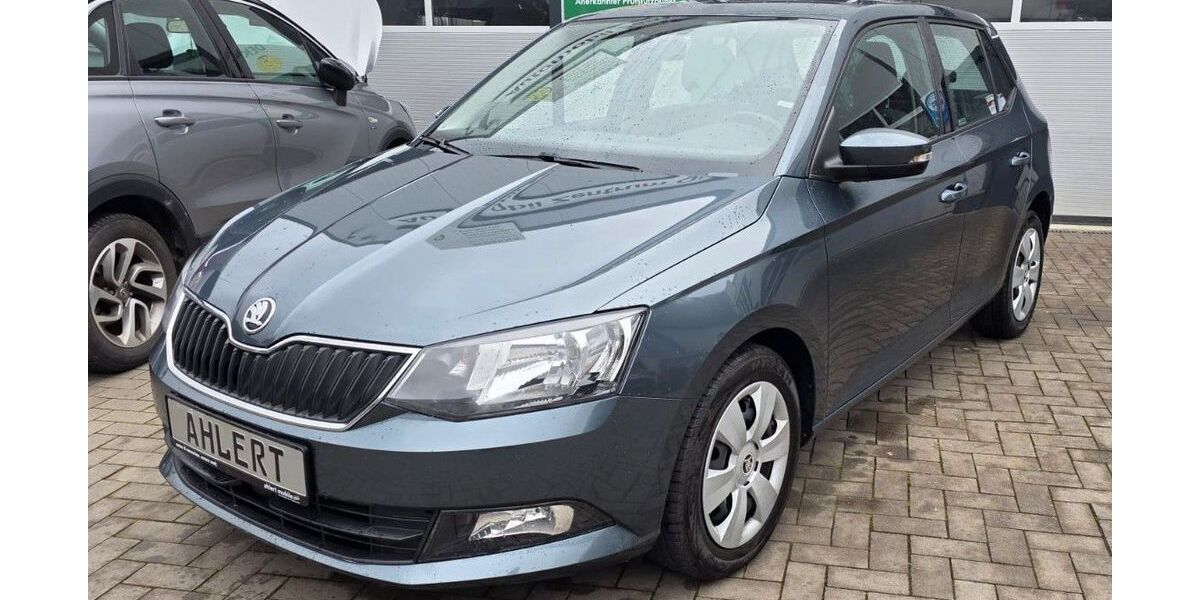 Skoda Fabia 94.000 km 10.399 € Oberwesel 55430
