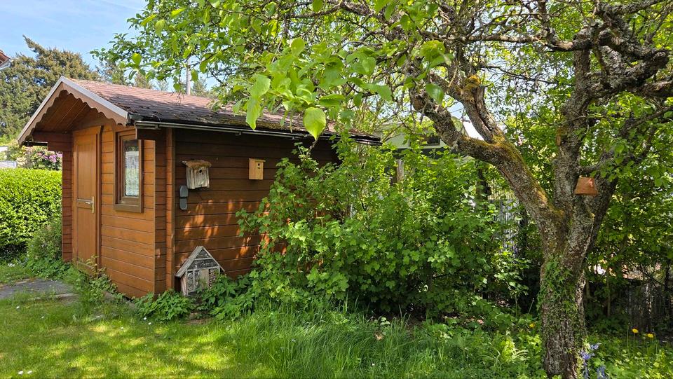 Mehrfamilienhaus, Wohnhaus Neuhäusel - 9 Zimmer, 164 m&sup2;, 498.000&euro; | Angebot:27287015