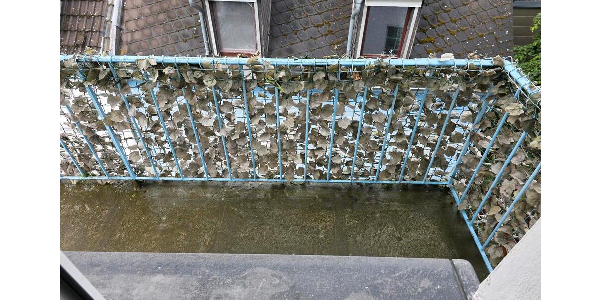 Etagenwohnung Brey - 2 Zimmer, 65 m&sup2;, 750&euro; | Angebot:26662809