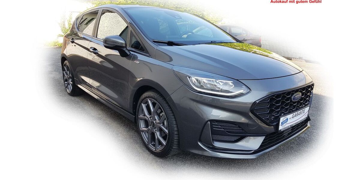 Ford Fiesta 35.300 km 16.980 &euro; Neuwied 56564