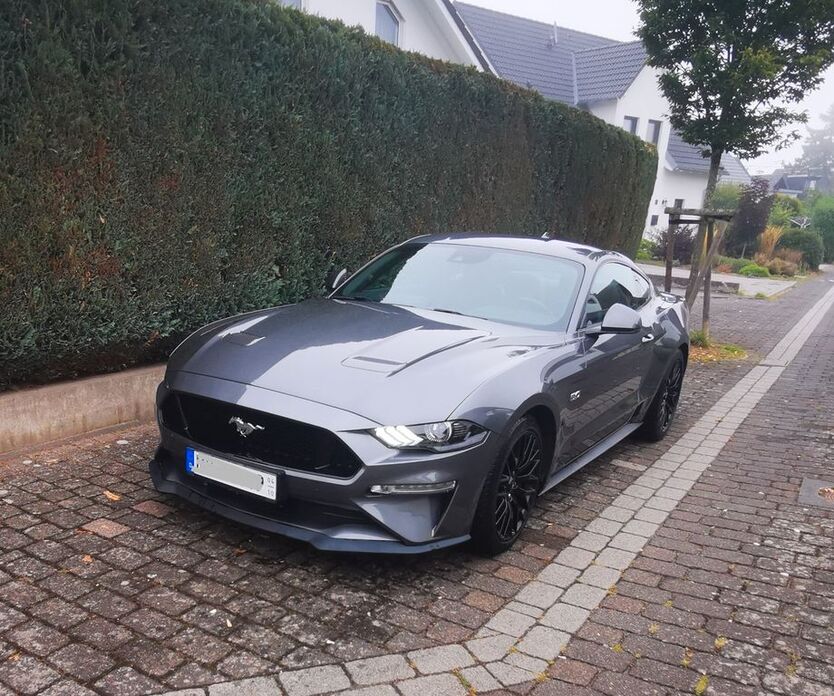 Mustang
