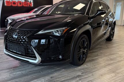 Lexus UX 69.350 km 28.699 &euro; Boden 56412