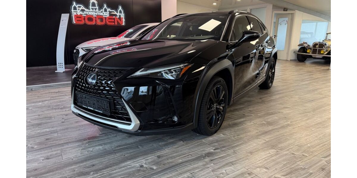 Lexus UX 69.350 km 28.699 &euro; Boden 56412