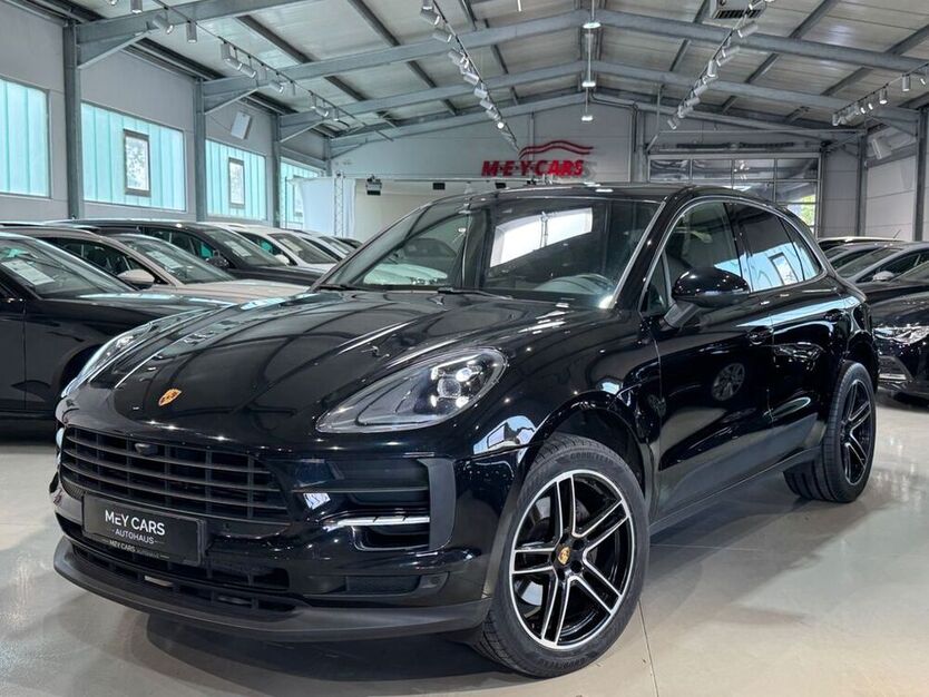 Macan