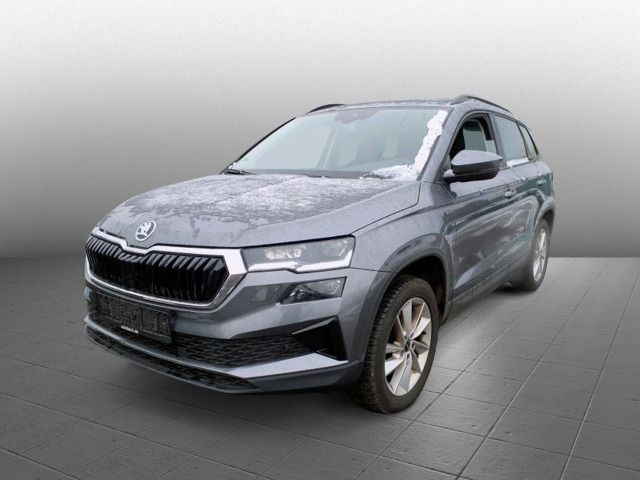 Skoda Karoq 53.150 km 31.590 &euro; Diez 65582