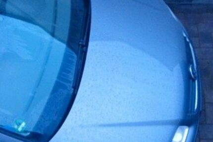 VW Touran 289.000 km 1.500 &euro; Neuwied 56564