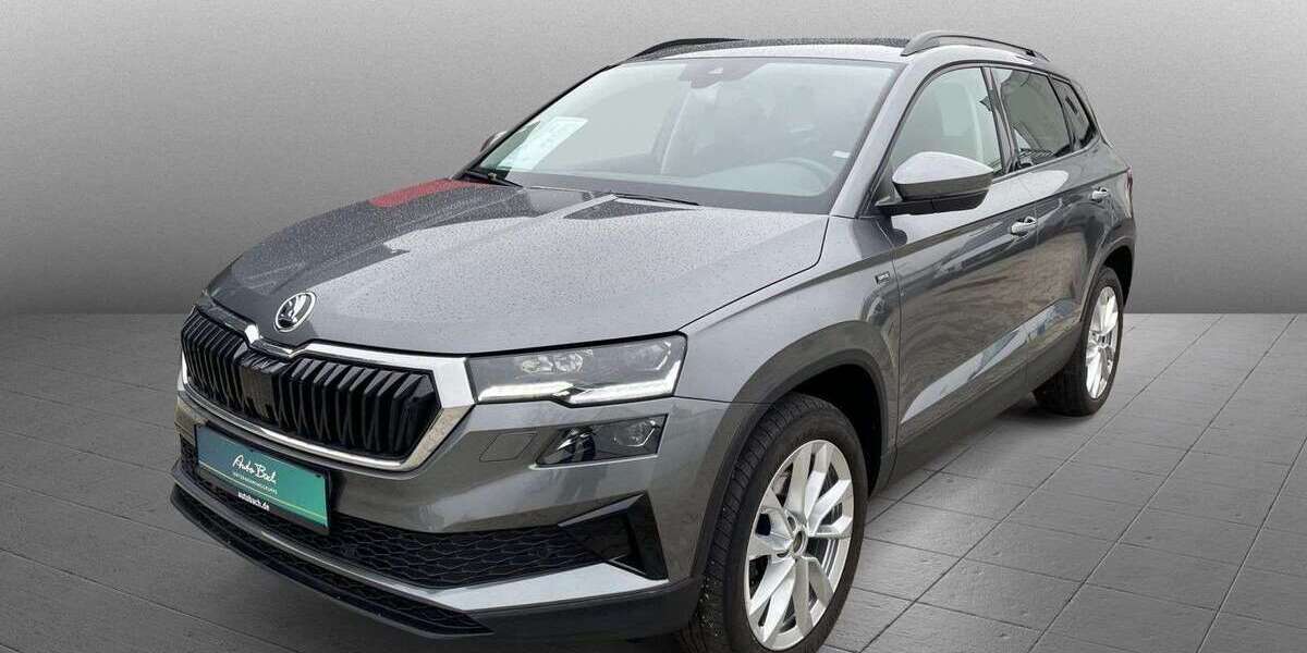 Skoda Karoq 53.150 km 31.590 &euro; Diez 65582