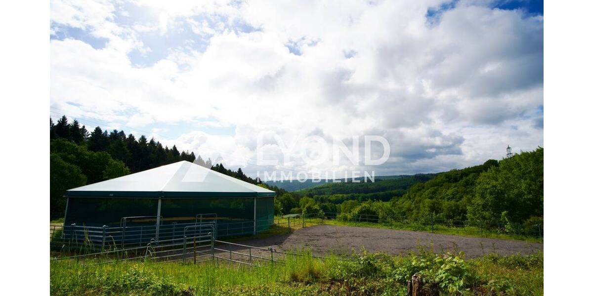 Mehrfamilienhaus, Wohnhaus Boppard Holzfeld - 1 Zimmer, 545 m&sup2;, 1.690.000&euro; | Angebot:26908302