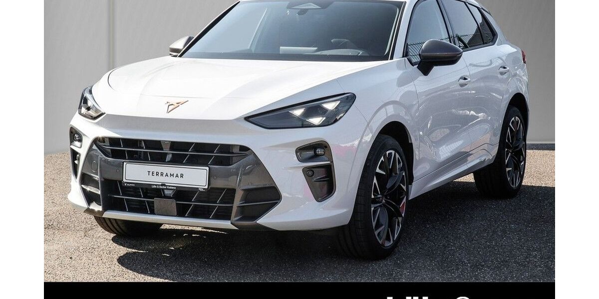 Cupra Terramar 12.800 km 41.780 &euro; Koblenz 56070