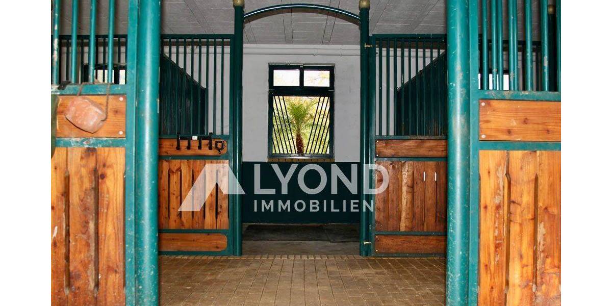 Mehrfamilienhaus, Wohnhaus Boppard Holzfeld - 1 Zimmer, 545 m&sup2;, 1.690.000&euro; | Angebot:26908302