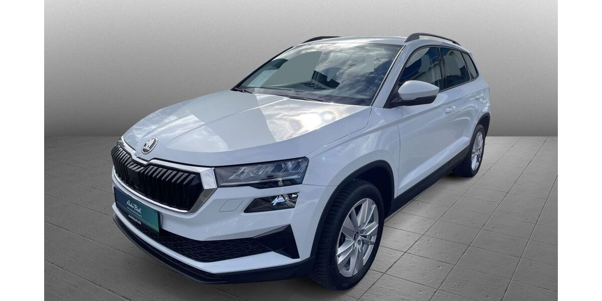 Skoda Karoq 24.113 km 30.490 &euro; Diez 65582