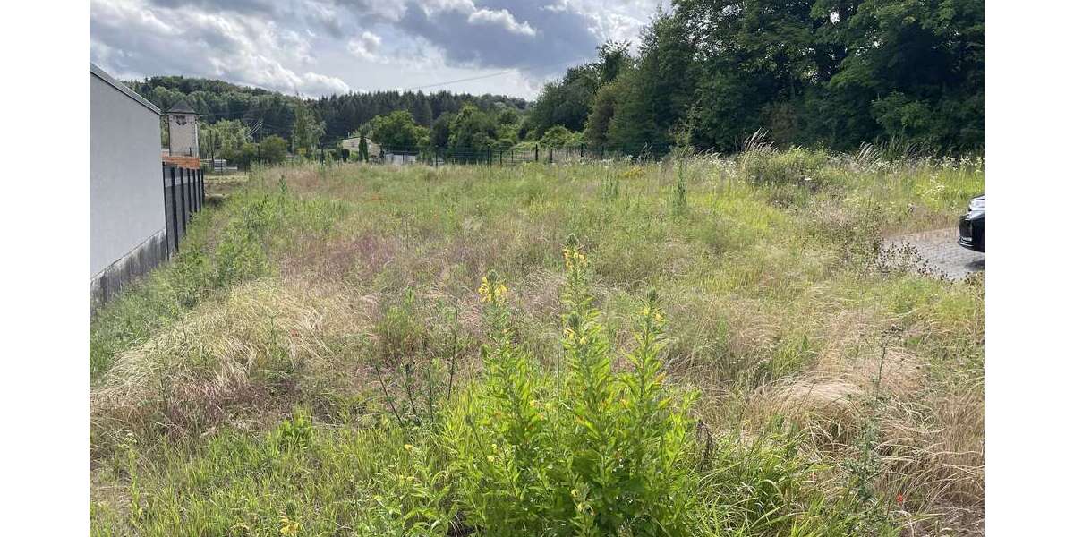 Grundstück Bassenheim - 286.960&euro; | Angebot:25483743