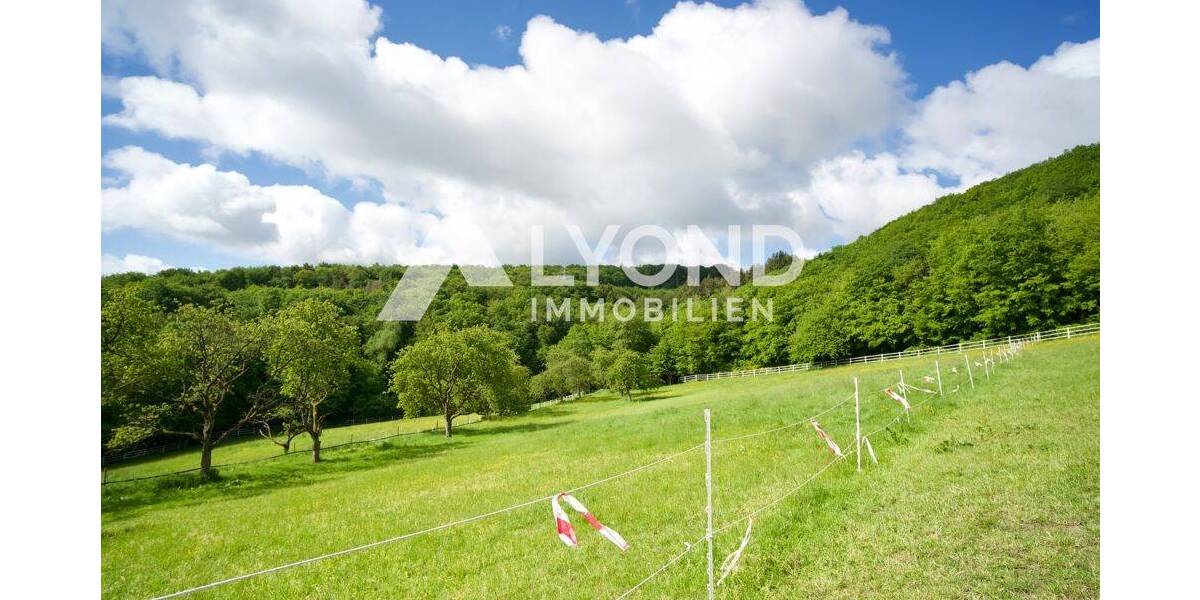 Mehrfamilienhaus, Wohnhaus Boppard Holzfeld - 1 Zimmer, 545 m&sup2;, 1.690.000&euro; | Angebot:26908302