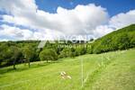 Mehrfamilienhaus, Wohnhaus Boppard Holzfeld - 1 Zimmer, 545 m&sup2;, 1.690.000&euro; | Angebot:26908302
