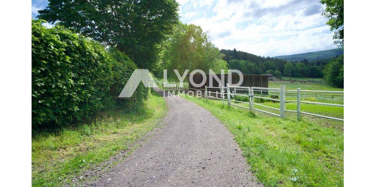 Mehrfamilienhaus, Wohnhaus Boppard Holzfeld - 1 Zimmer, 545 m&sup2;, 1.690.000&euro; | Angebot:26908302