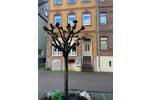 Gewerbeobjekt Sankt Goar St Goar - 218&euro; | Angebot:26056475
