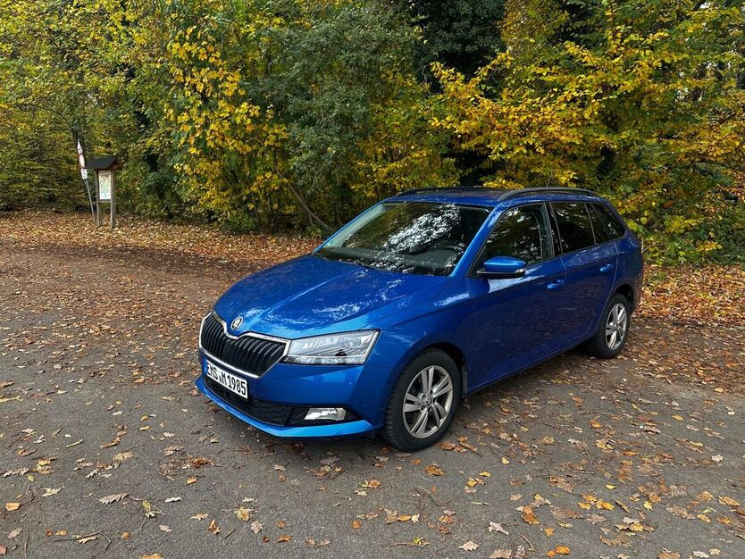 Skoda Fabia 110.000 km 11.100 € Geilnau 56379