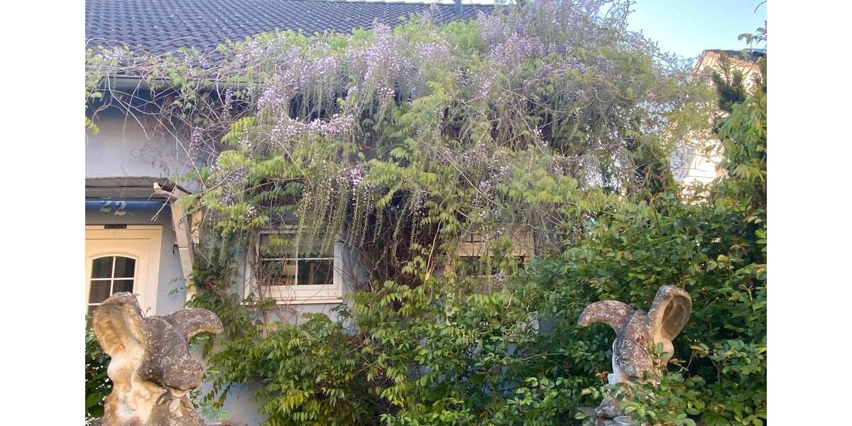 Einfamilienhaus Burgbrohl - 4 Zimmer, 100 m&sup2;, 349.000&euro; | Angebot:26518078