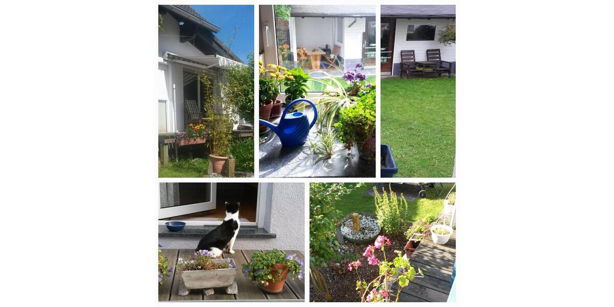 Einfamilienhaus Nentershausen - 6 Zimmer, 220 m&sup2;, 1.600&euro; | Angebot:25420627