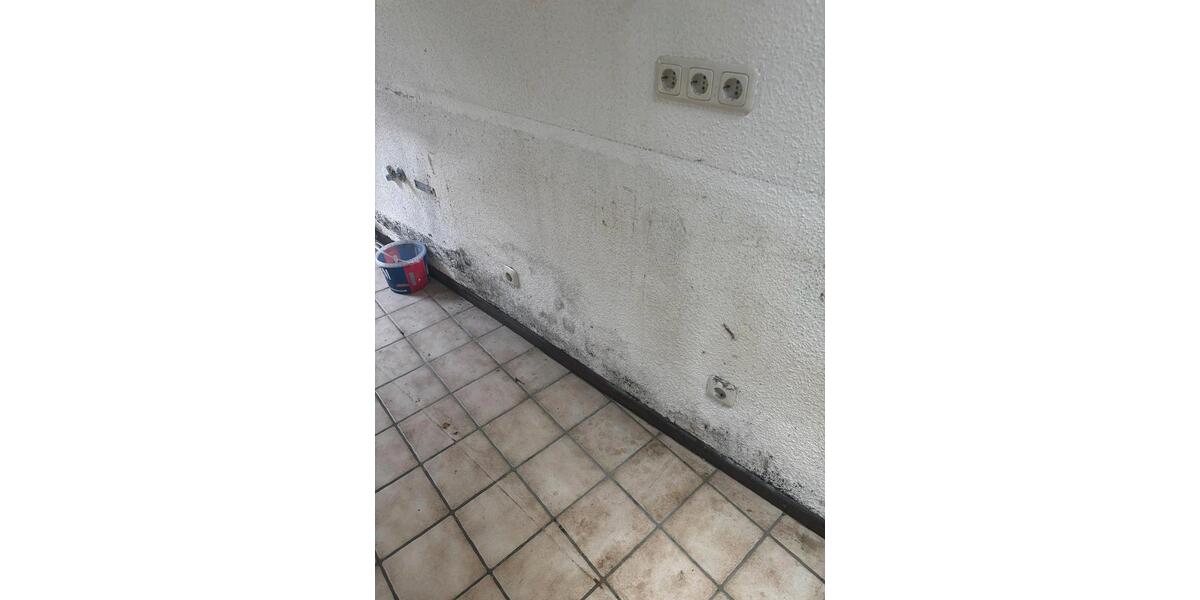 Erdgeschoßwohnung Dierdorf - 2 Zimmer, 60 m&sup2;, 750&euro; | Angebot:26283114