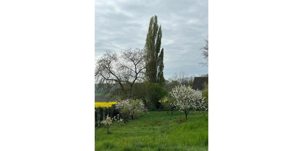 Einfamilienhaus Mendig - 4 Zimmer, 143 m&sup2;, 499.000&euro; | Angebot:26440152