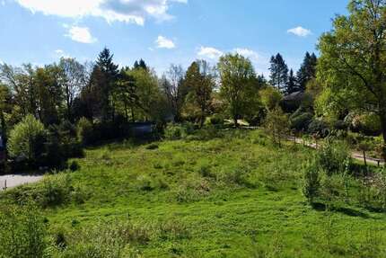 Grundstück zu verkaufen in Bendestorf 795.000 € 3929 m²