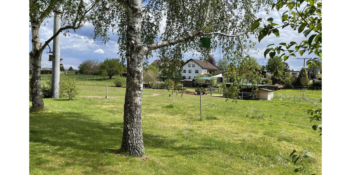 Mehrfamilienhaus, Wohnhaus Montabaur Horressen - 1 Zimmer, 63 m&sup2;, 158.000&euro; | Angebot:26582165