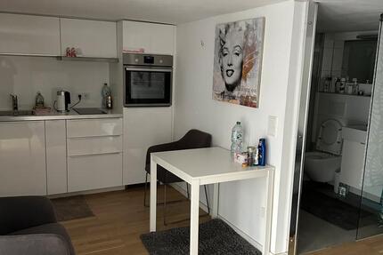 Koblenz Pfaffendorf Apartment vollmöbliert 1 zimmer