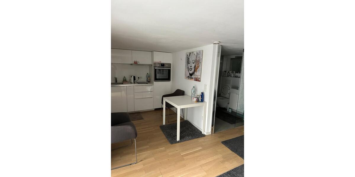 Koblenz Pfaffendorf Apartment vollmöbliert 1 zimmer