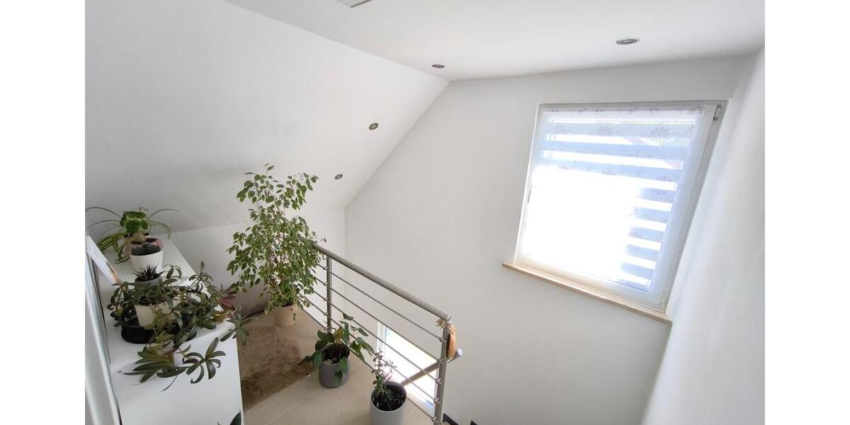 Einfamilienhaus in guter Lage auf 1765m Parkgrundstück mit Bach 6 zimmer