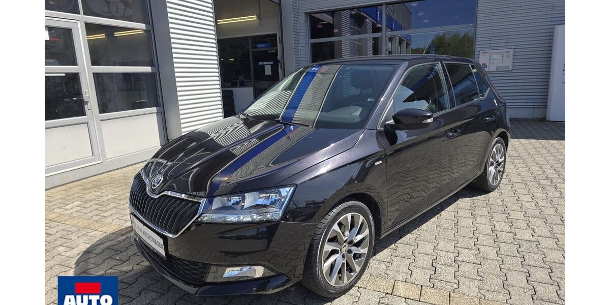 Skoda Fabia 50.386 km 11.799 &euro; Heiligenroth 56412