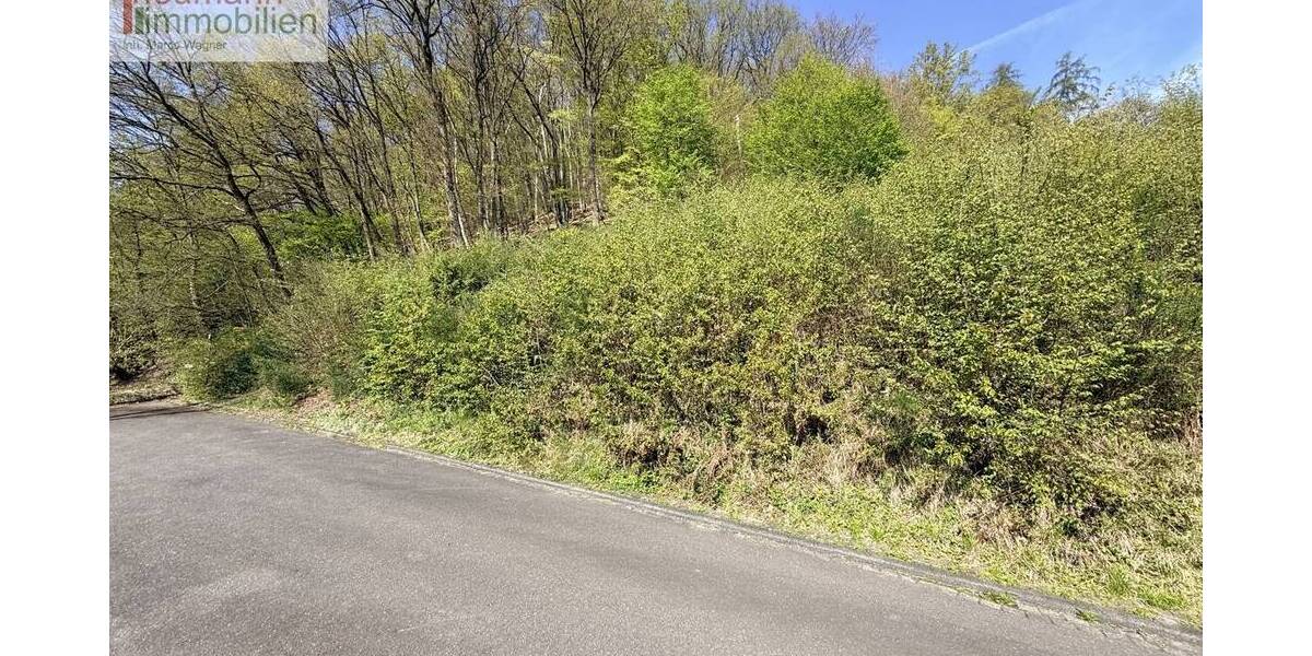Grundstück Reuschenbach Reuschenbach - 79.000&euro; | Angebot:26275910