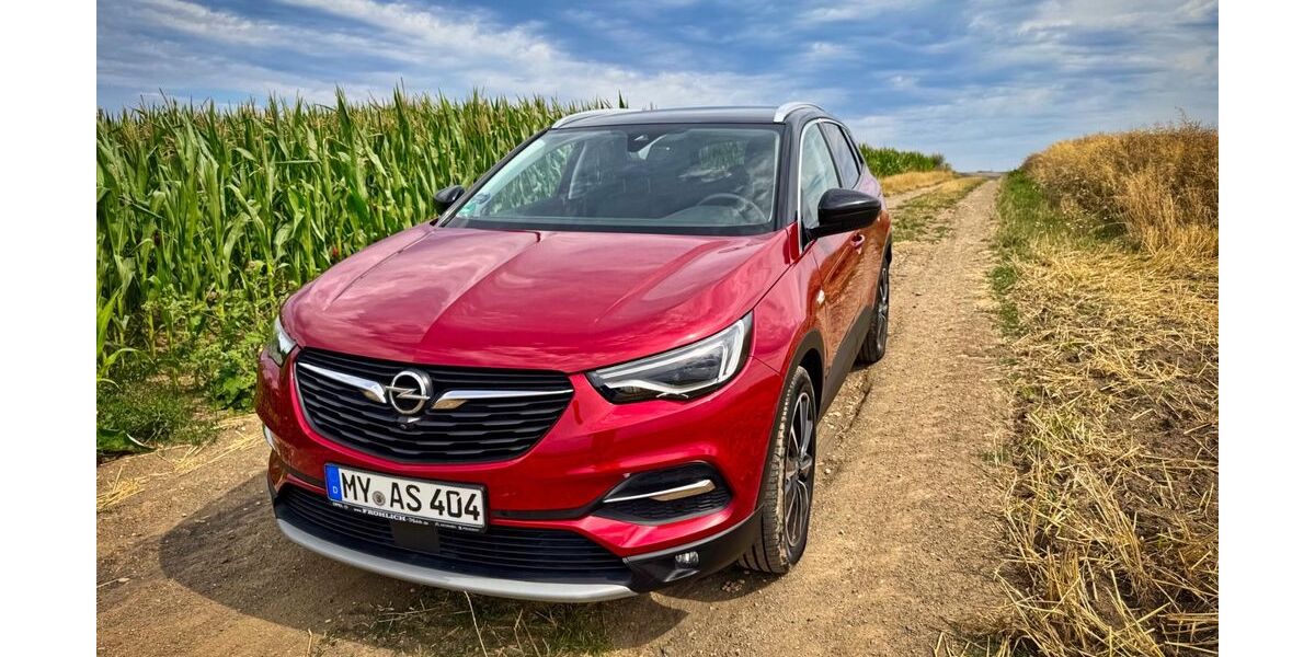 Opel Grandland (X) 64.000 km 20.500 &euro; Kerben 56295