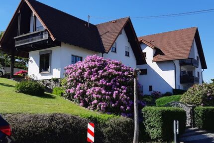 Attraktive, helle 2-Zimmer-EG-Wohnung mit Terrasse auf parkähnlichem Areal - frisch renoviert, modernisiert, ruhig & zentral in Raubach - Wohnung Raubach | Angebot:24576305