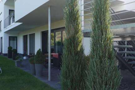 Zimmer Dieblich - 2.5 Zimmer, 1.350&euro; | Angebot:27132696