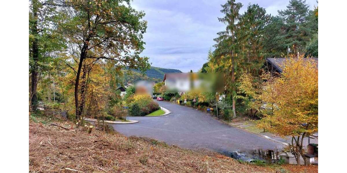 Grundstück zu verkaufen in Gönnersdorf 78.280 € 824 m² zimmer