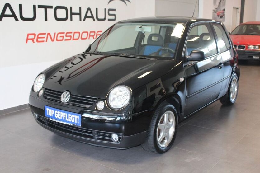 Lupo