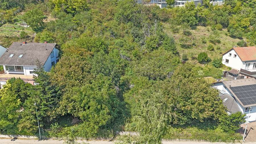 Grundstück zu verkaufen in Mayen 349.000 € 1962 m² zimmer