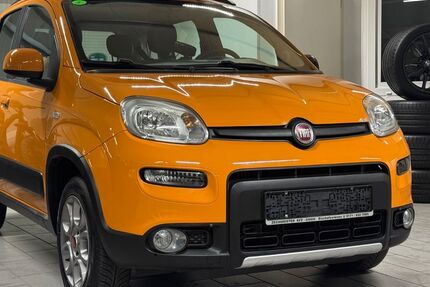 Fiat Panda 49.000 km 10.990 &euro; Brey 56321